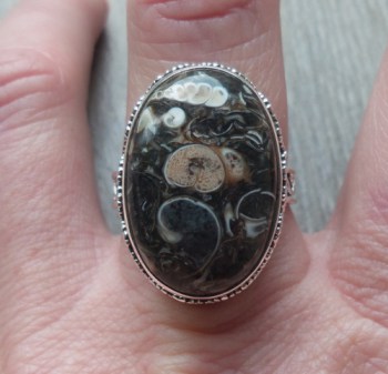 Zilveren ring ovale Turitella gezet in bewerkte setting 19 mm